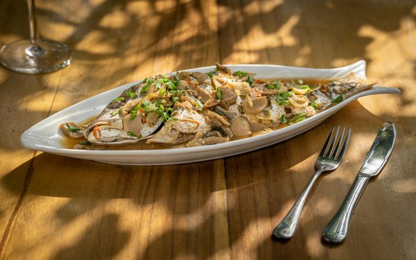 What Are the Most Unique Traits of Pet Ownership in the UK?